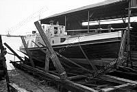 142546-008.tif