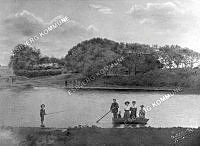 139190-005.tif