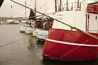 92600-410.tif