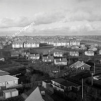 122331-050.tif