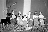 138751-050.tif