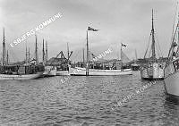 33716-008.tif