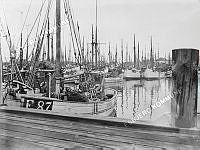 33729-008.tif