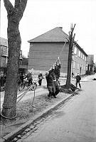 137580-008.tif