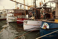 92599-410.tif