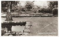 60479-185-589.tif