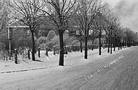 133347-070.tif