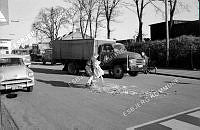 136354-008.tif