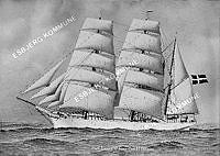 27737-082.tif