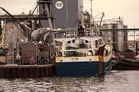 92601-410.tif