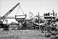 137856-008.tif