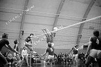 139796-032.tif