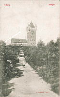 60478-202-589.tif