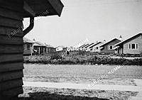 35334-070.tif
