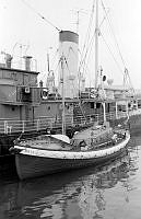 80321-008.tif