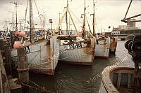 92603-410.tif