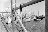 91263-060.tif