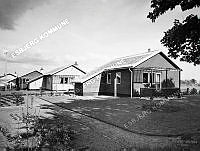 20421-022.tif