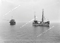 33743-008.tif